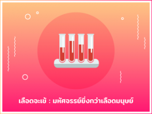 เลือดจระเข้_330x248_4